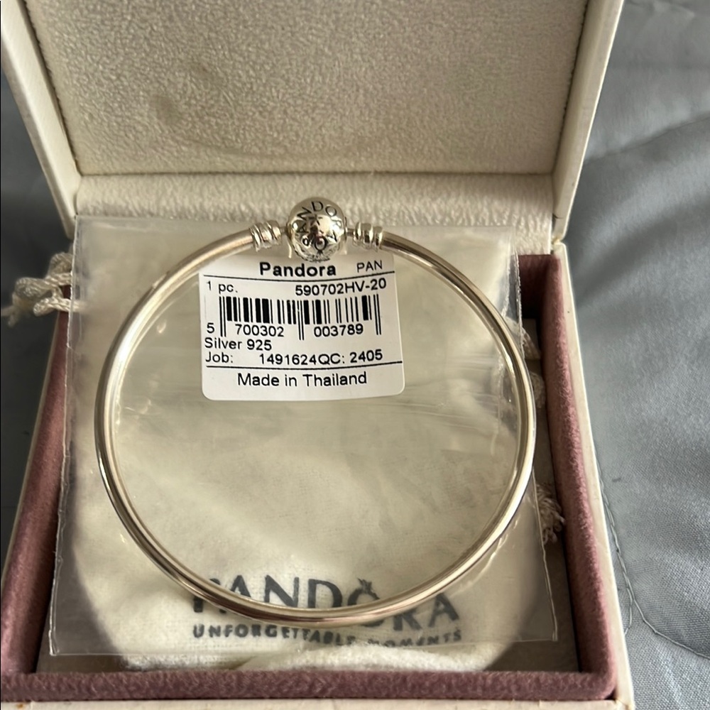 Pandora Silver Classic Bangle Bracelet